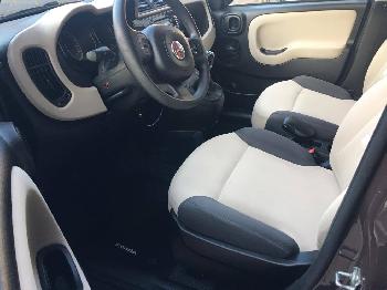 FIAT Panda 1.2 69cv lounge 